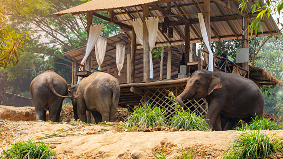 ขับรถเที่ยวสถานที่เที่ยวในเชียงใหม่ ที่คุณต้องลองไปสักครั้ง