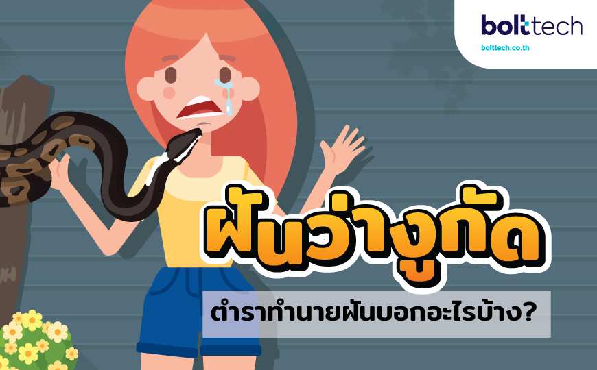 ฝันว่างูกัด ทำนายฝันบอกอะไรบ้าง? - Bolttech Blog - News & Updates ฝันว่างูกัด ทำนายฝันบอกอะไรบ้าง? - Bolttech Blog - News & Updates