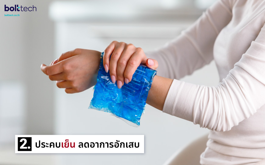 แมลงก้นกระดก กัด