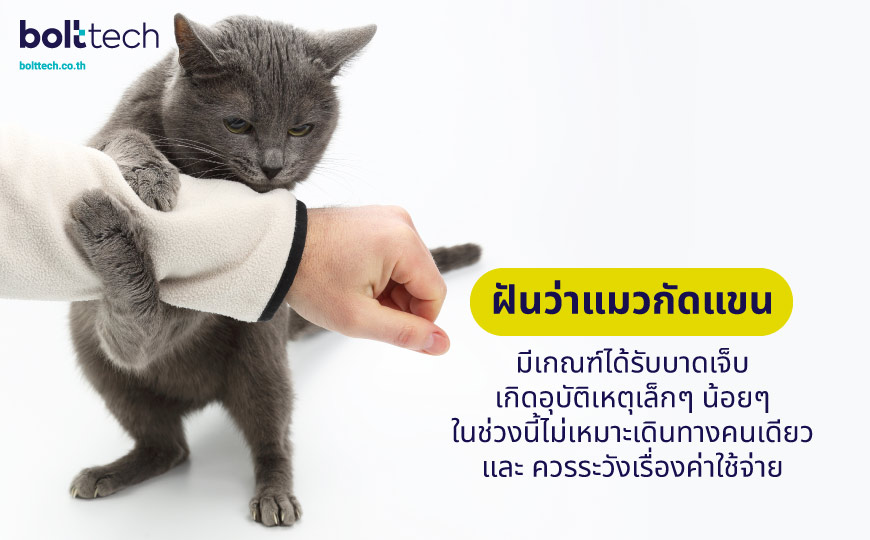 ฝันว่าแมวกัดแขน