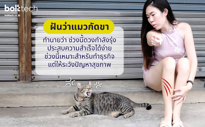 ฝันว่าแมวกัดขา